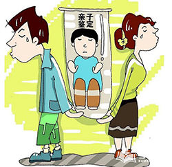 丹东个人DNA亲子鉴定需要提供什么，丹东隐私亲子鉴定收费明细