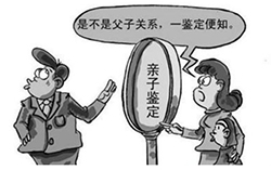 鹤岗亲子鉴定服务机构哪里做，鹤岗亲子鉴定费用是多少
