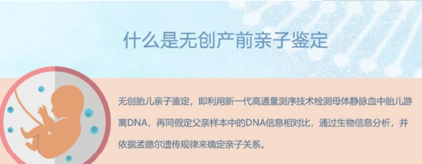 在铜陵怀孕期间如何办理孕期亲子鉴定,铜陵做孕期亲子鉴定哪里做的准