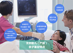 泉州产前亲子鉴定费用是多少[检测咨询]